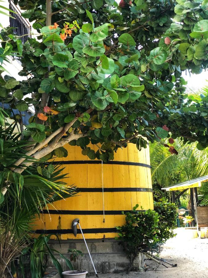 The Novelo Hotel Caye Caulker Exterior photo