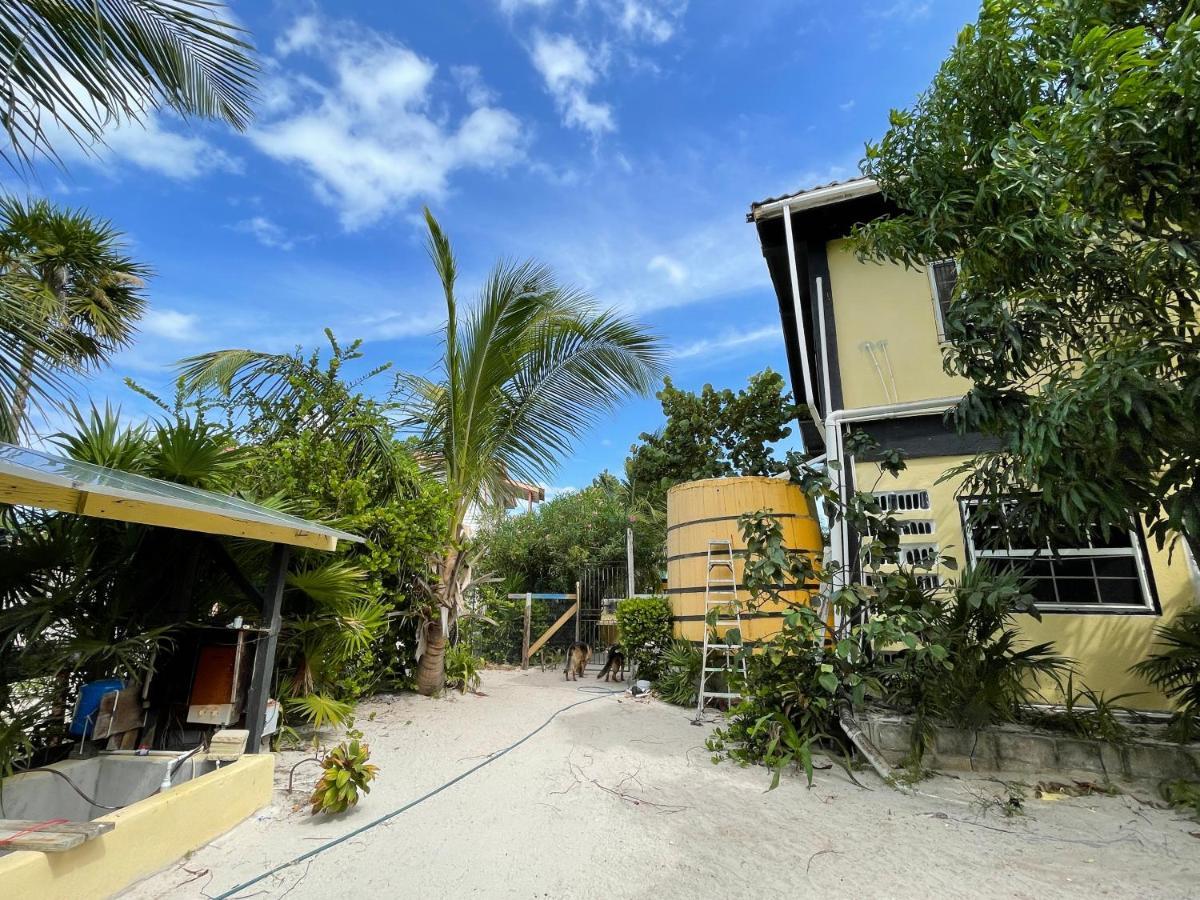 The Novelo Hotel Caye Caulker Exterior photo
