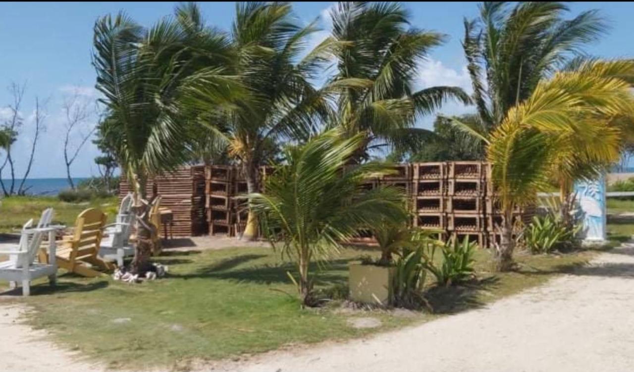 The Novelo Hotel Caye Caulker Exterior photo